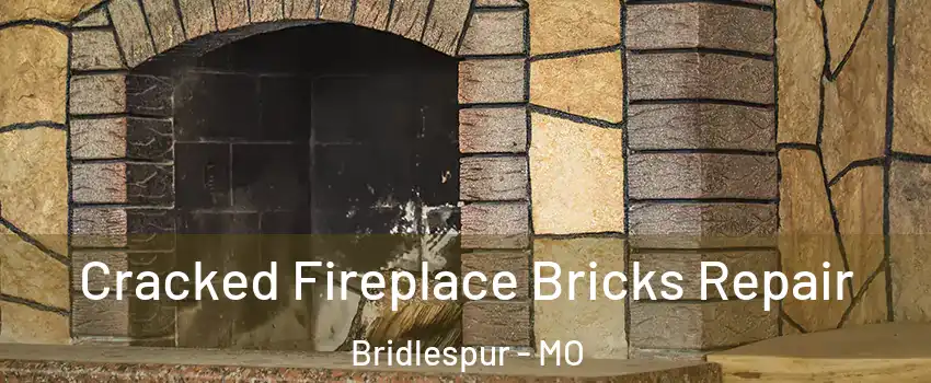 Cracked Fireplace Bricks Repair Bridlespur - MO