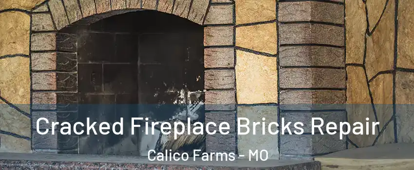 Cracked Fireplace Bricks Repair Calico Farms - MO