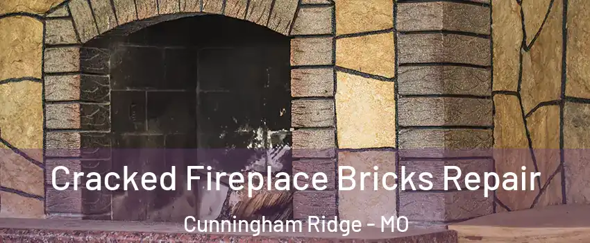 Cracked Fireplace Bricks Repair Cunningham Ridge - MO
