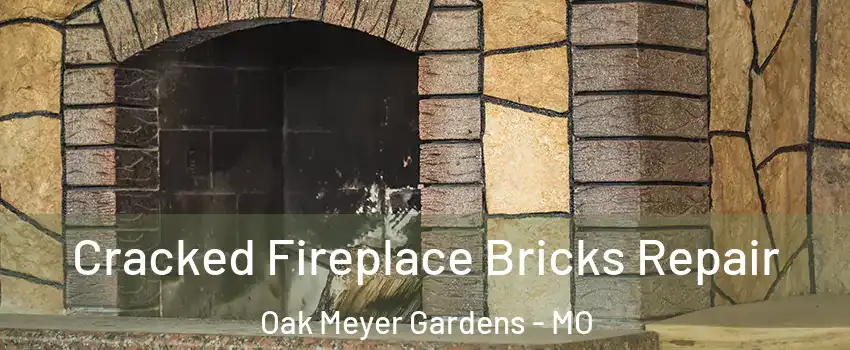 Cracked Fireplace Bricks Repair Oak Meyer Gardens - MO