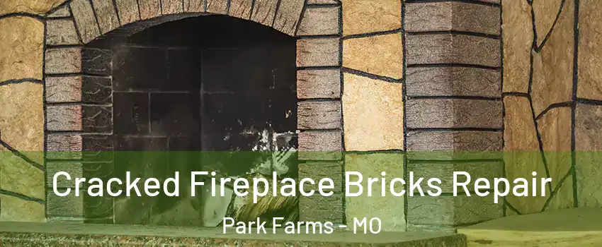 Cracked Fireplace Bricks Repair Park Farms - MO