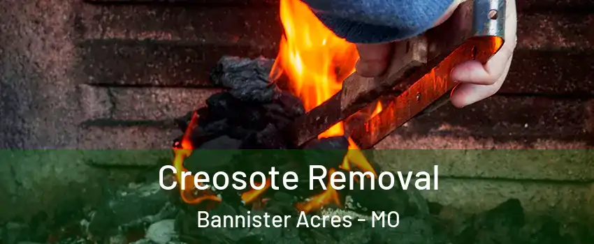 Creosote Removal Bannister Acres - MO