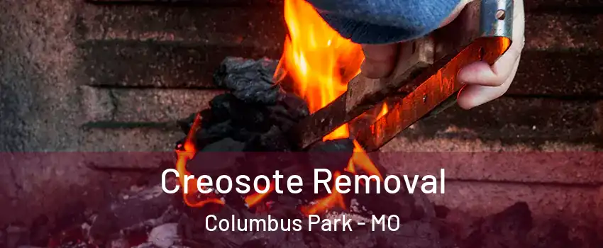 Creosote Removal Columbus Park - MO