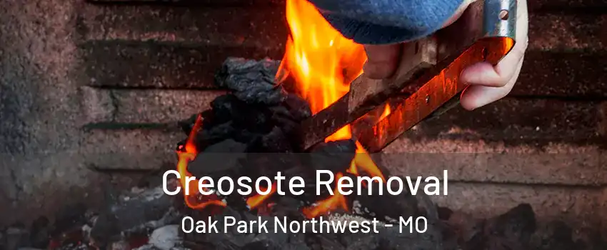 Creosote Removal Oak Park Northwest - MO