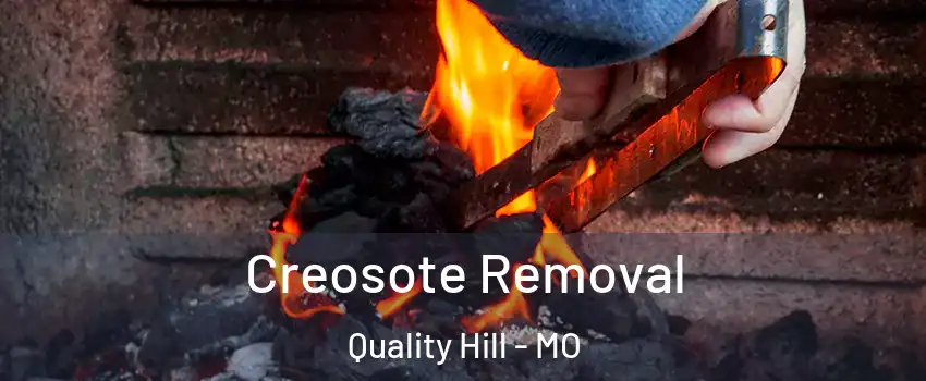 Creosote Removal Quality Hill - MO