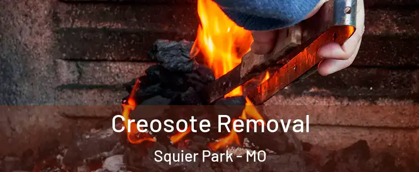 Creosote Removal Squier Park - MO