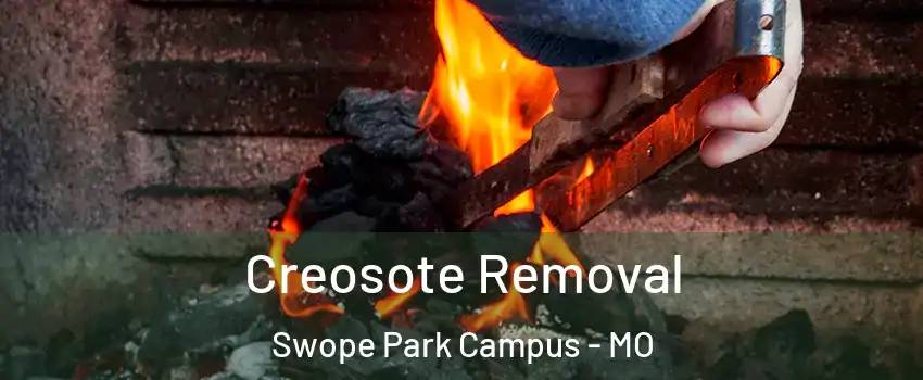 Creosote Removal Swope Park Campus - MO