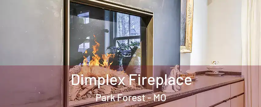 Dimplex Fireplace Park Forest - MO
