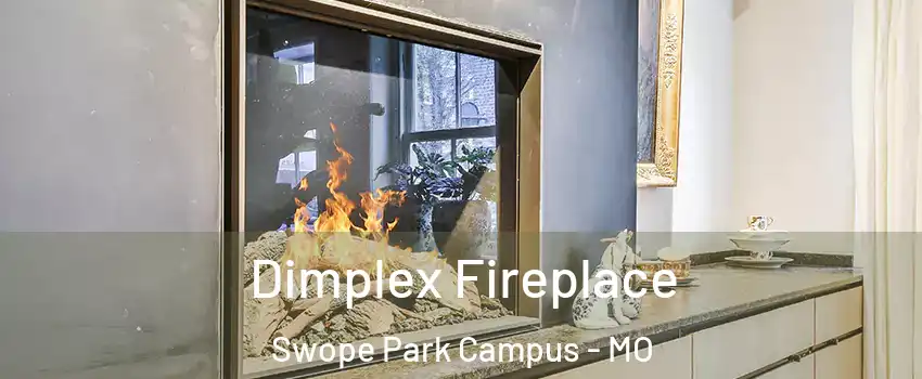 Dimplex Fireplace Swope Park Campus - MO