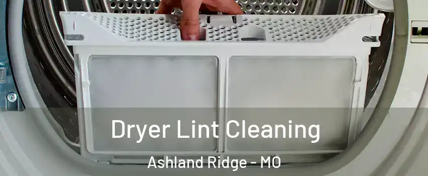 Dryer Lint Cleaning Ashland Ridge - MO