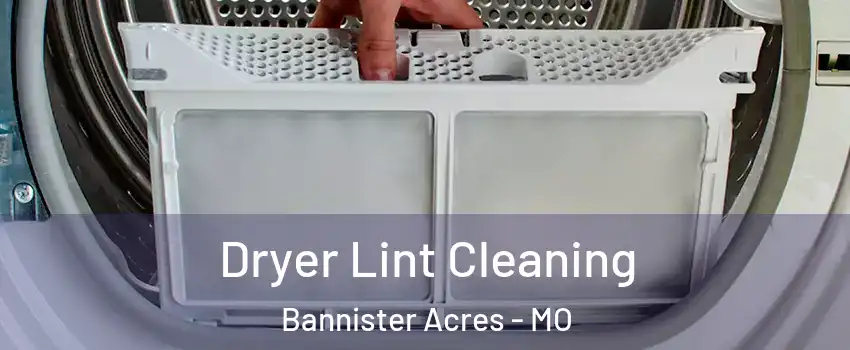 Dryer Lint Cleaning Bannister Acres - MO