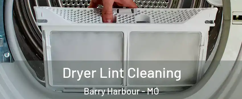 Dryer Lint Cleaning Barry Harbour - MO