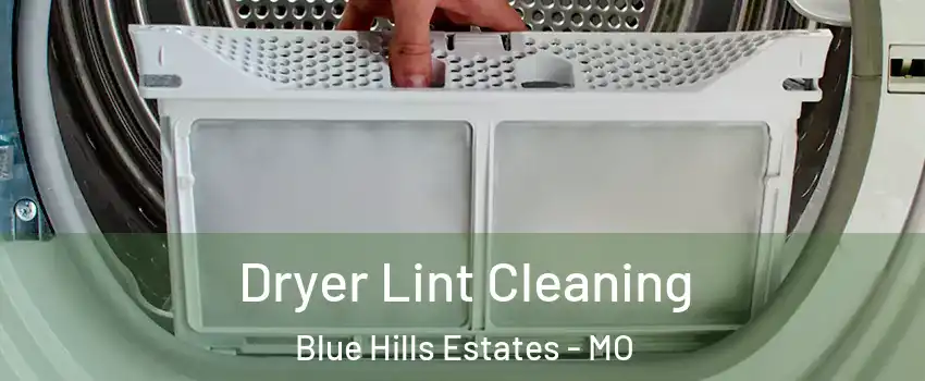 Dryer Lint Cleaning Blue Hills Estates - MO
