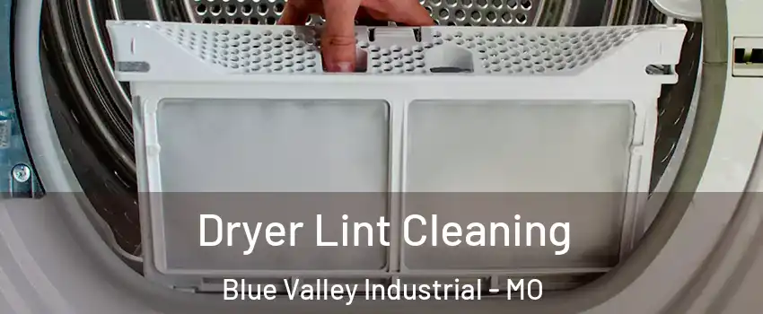 Dryer Lint Cleaning Blue Valley Industrial - MO