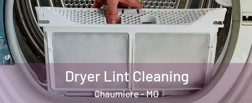 Dryer Lint Cleaning Chaumiere - MO
