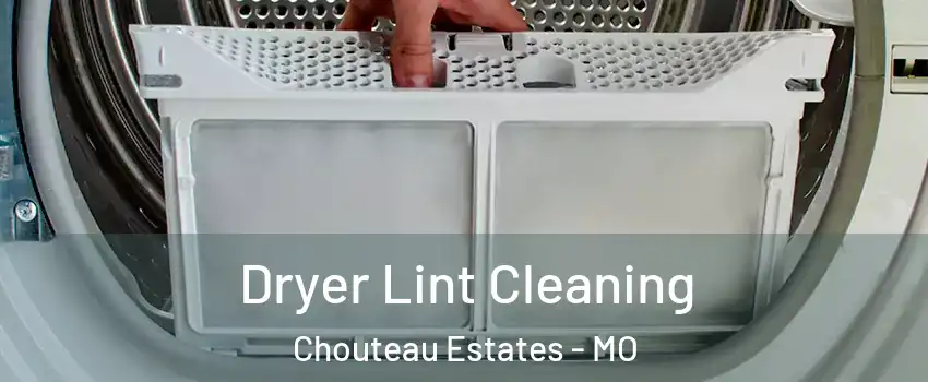 Dryer Lint Cleaning Chouteau Estates - MO