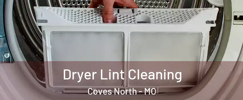 Dryer Lint Cleaning Coves North - MO