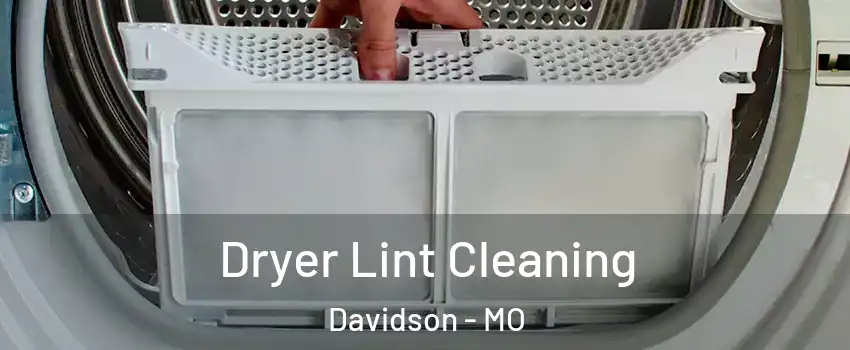 Dryer Lint Cleaning Davidson - MO