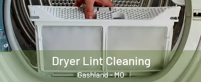 Dryer Lint Cleaning Gashland - MO