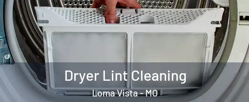 Dryer Lint Cleaning Loma Vista - MO