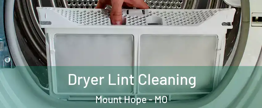 Dryer Lint Cleaning Mount Hope - MO