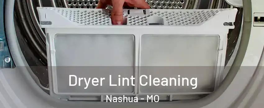 Dryer Lint Cleaning Nashua - MO