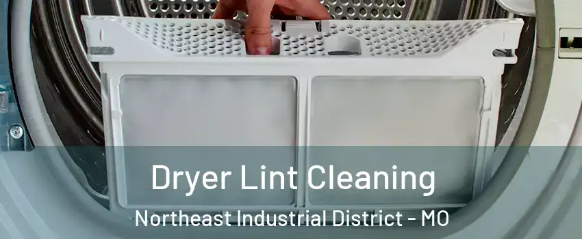 Dryer Lint Cleaning Northeast Industrial District - MO