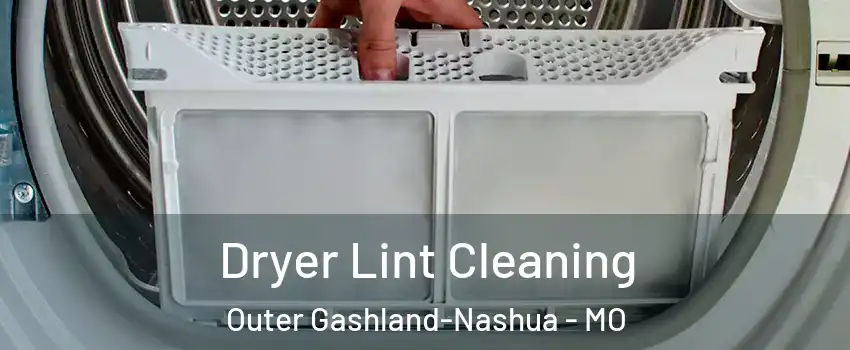 Dryer Lint Cleaning Outer Gashland-Nashua - MO