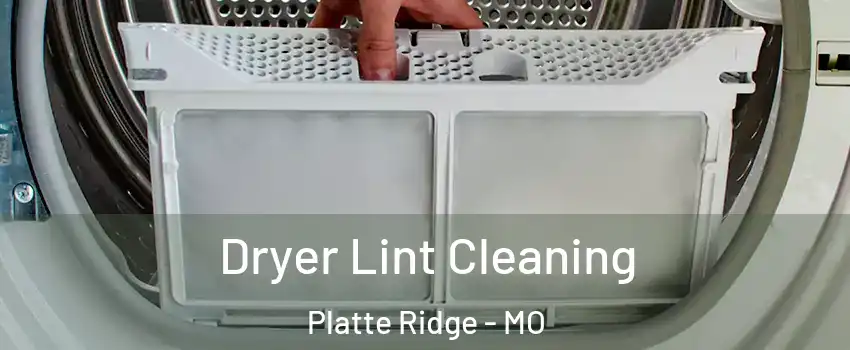 Dryer Lint Cleaning Platte Ridge - MO