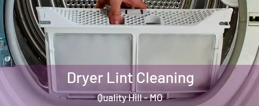 Dryer Lint Cleaning Quality Hill - MO