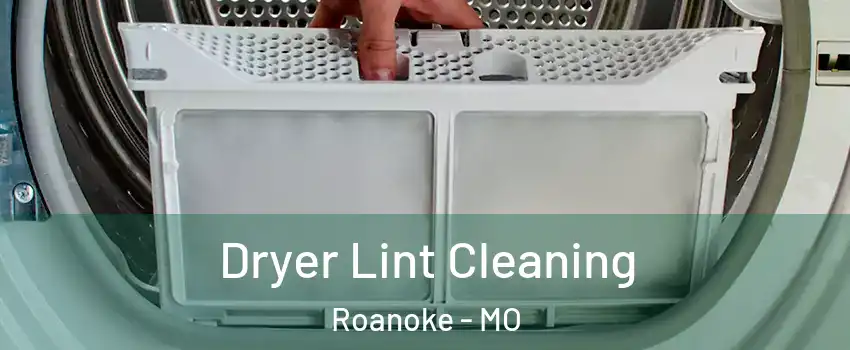 Dryer Lint Cleaning Roanoke - MO