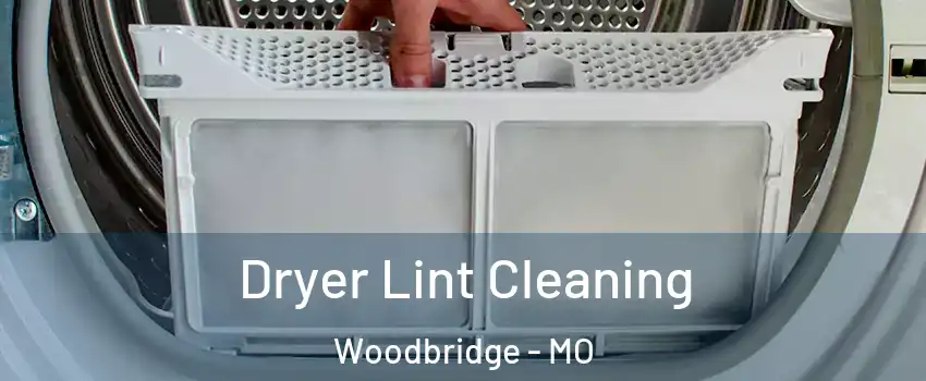 Dryer Lint Cleaning Woodbridge - MO