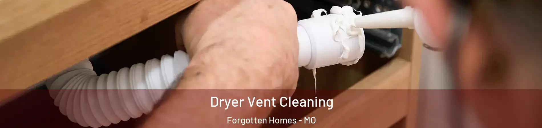Dryer Vent Cleaning Forgotten Homes - MO