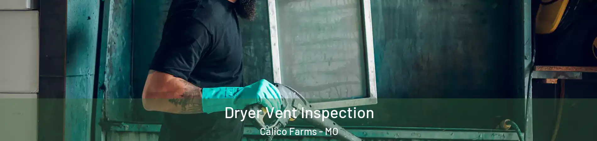 Dryer Vent Inspection Calico Farms - MO