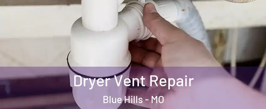 Dryer Vent Repair Blue Hills - MO