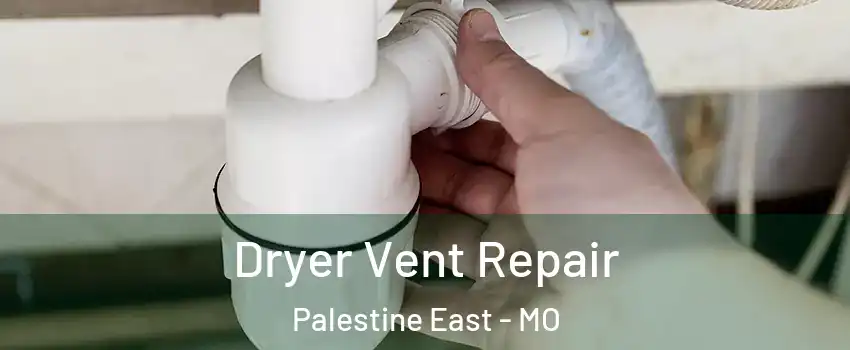 Dryer Vent Repair Palestine East - MO