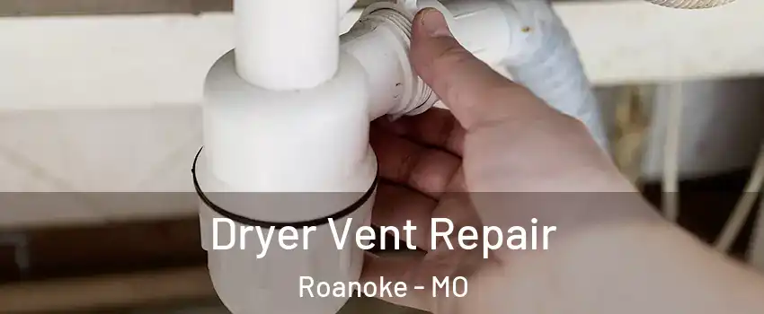 Dryer Vent Repair Roanoke - MO