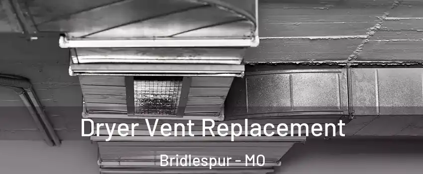 Dryer Vent Replacement Bridlespur - MO