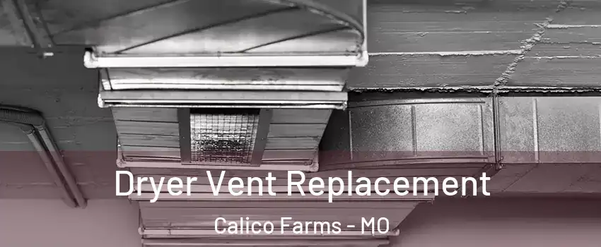 Dryer Vent Replacement Calico Farms - MO