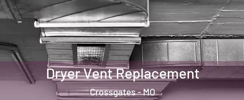 Dryer Vent Replacement Crossgates - MO