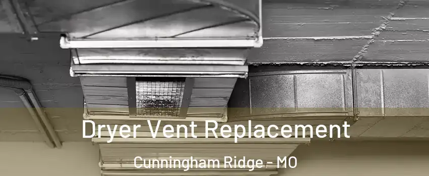 Dryer Vent Replacement Cunningham Ridge - MO