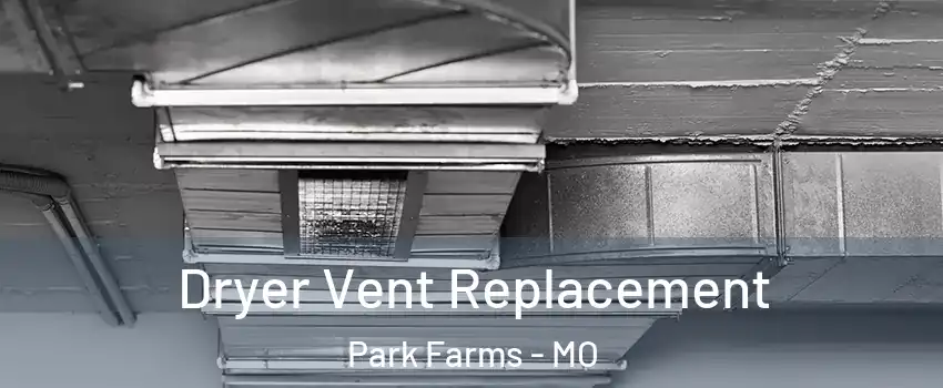 Dryer Vent Replacement Park Farms - MO