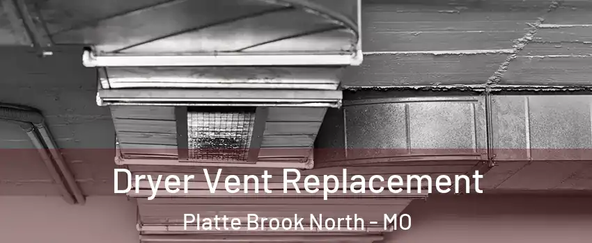 Dryer Vent Replacement Platte Brook North - MO