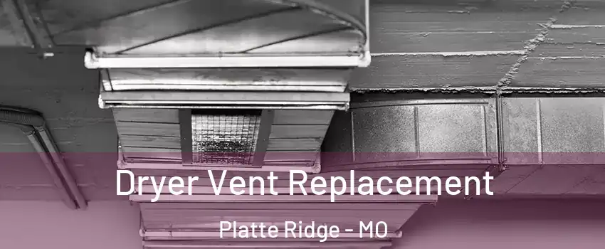 Dryer Vent Replacement Platte Ridge - MO