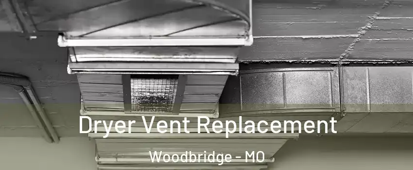 Dryer Vent Replacement Woodbridge - MO