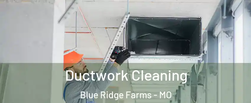 Ductwork Cleaning Blue Ridge Farms - MO