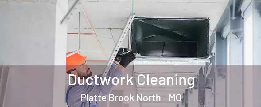 Ductwork Cleaning Platte Brook North - MO