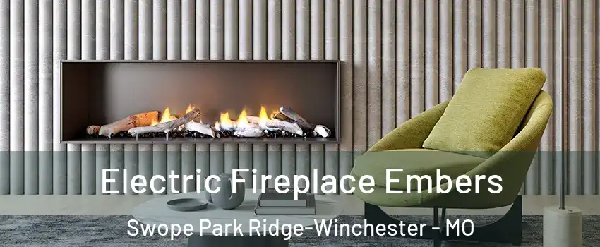 Electric Fireplace Embers Swope Park Ridge-Winchester - MO