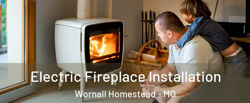 Electric Fireplace Installation Wornall Homestead - MO