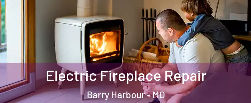 Electric Fireplace Repair Barry Harbour - MO